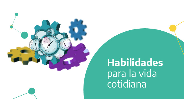 widget image